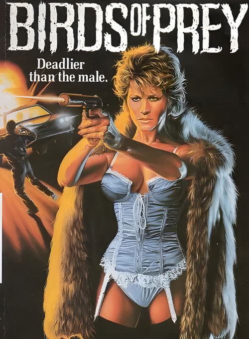 Birds of Prey Poster