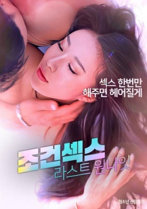Conditional Sex: Last One Night Poster