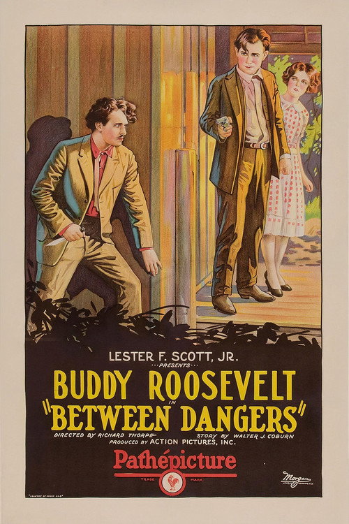 Between Dangers Poster