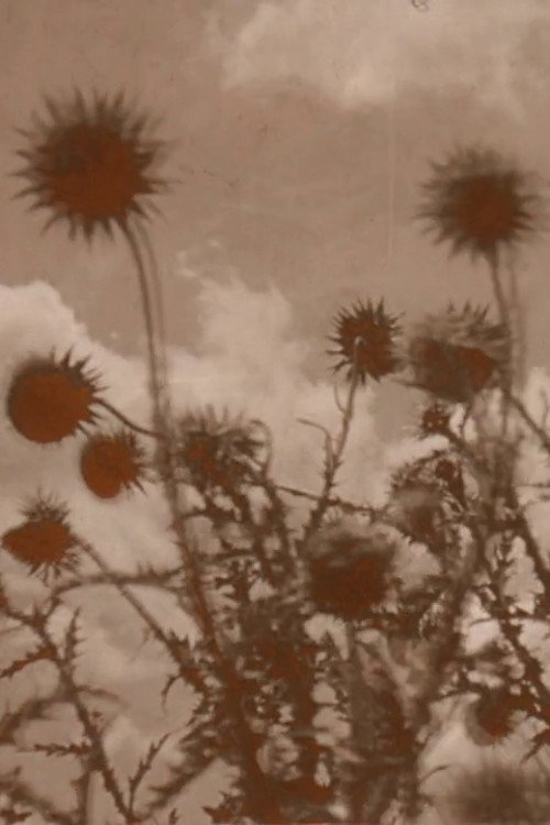 Crashing Skies Poster