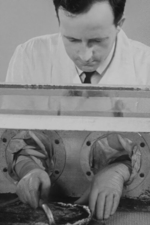 Pictures from the World of Moulds Poster