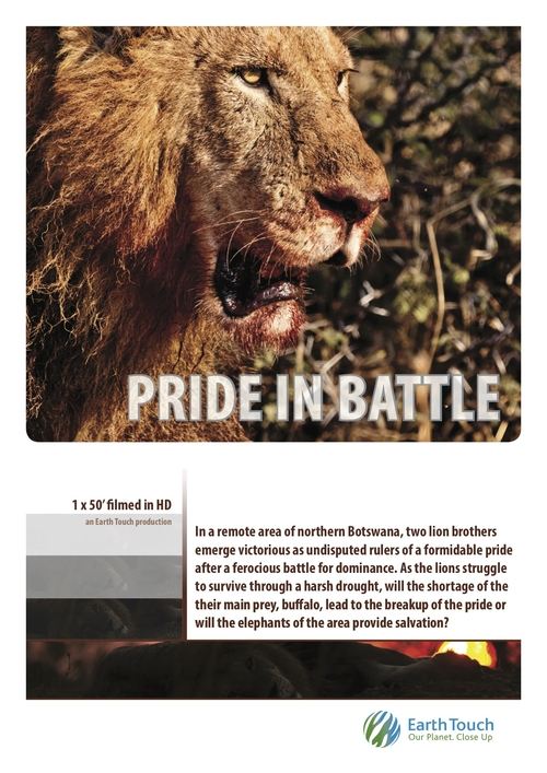 Pride in Battle Poster