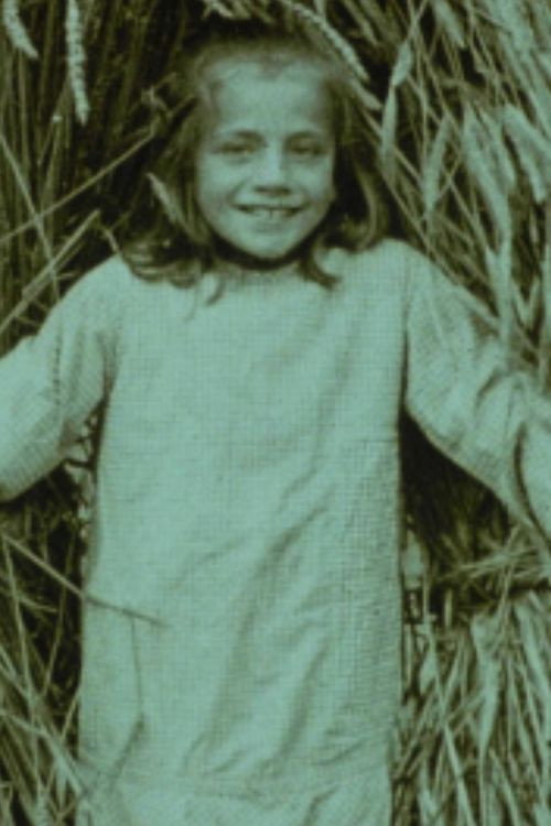 Limburg in Pictures Poster