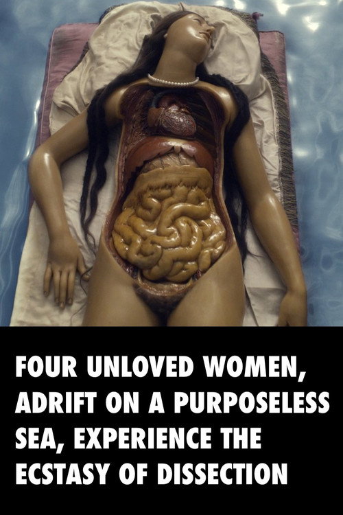 Four Unloved Women, Adrift on a Purposeless Sea, Experience the Ecstasy of Dissection Poster