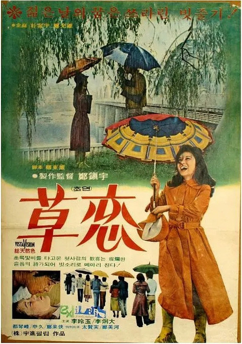 Love In The Rain Poster