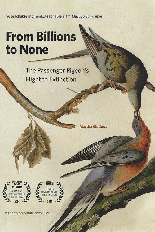 From Billions to None: The Passenger Pigeon's Flight to Extinction Poster