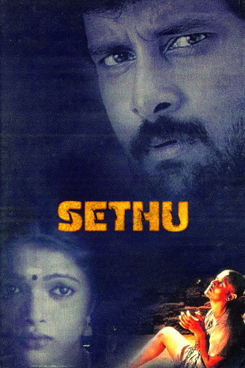 Sethu... Poster