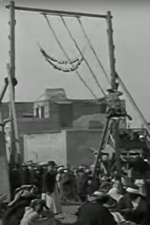 Palestine - Documentary Programme Poster