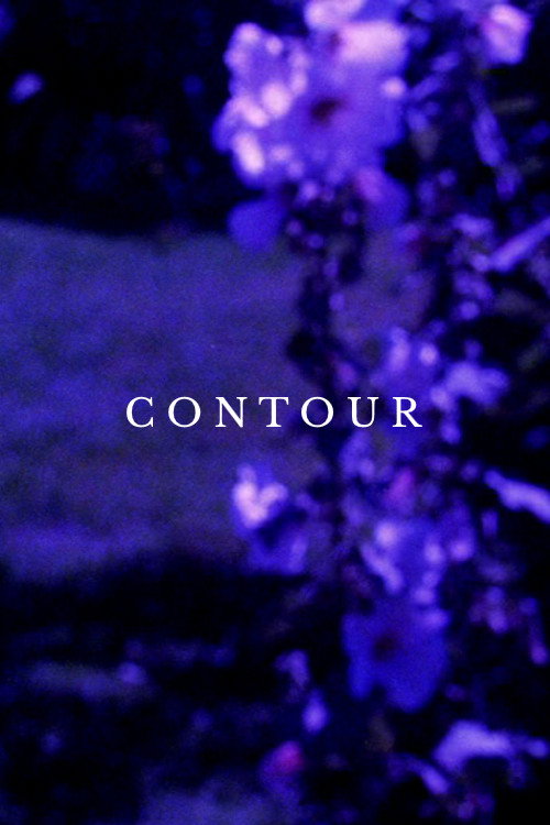 Contour Poster