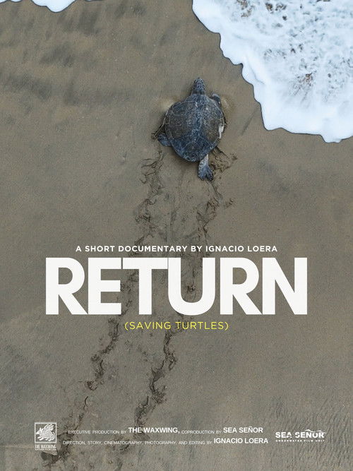 Return: Saving Turtles Poster