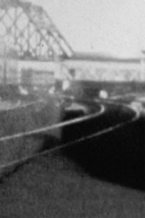 Figure With 14 Trains Poster