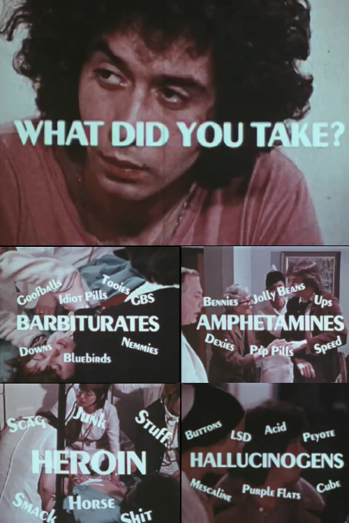 What Did You Take? Poster