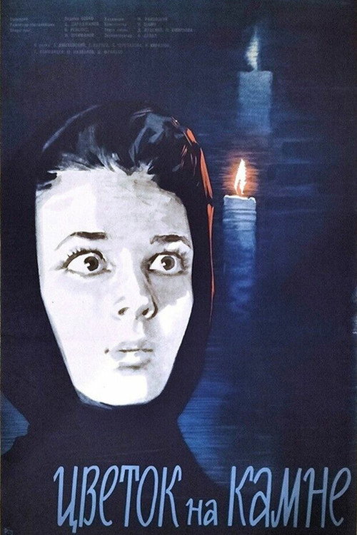 Flower on the Stone Poster