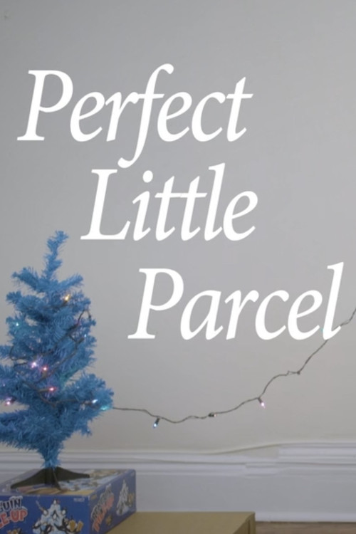 Perfect Little Parcel Poster