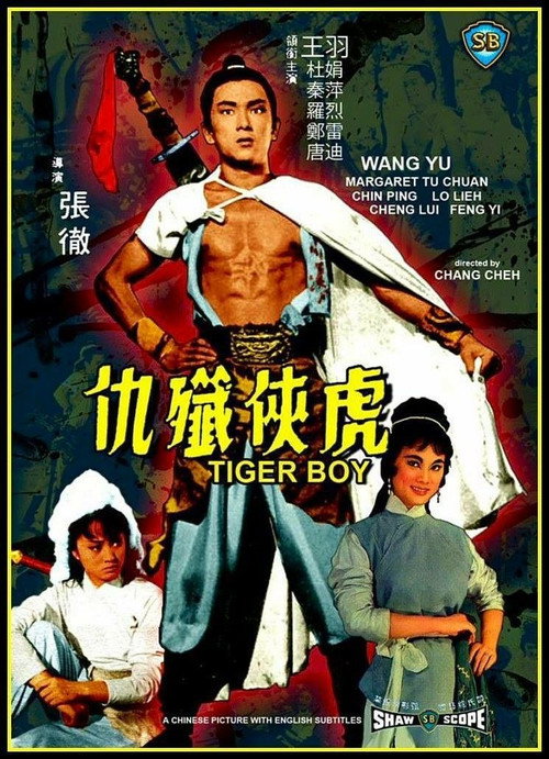 Tiger Boy Poster
