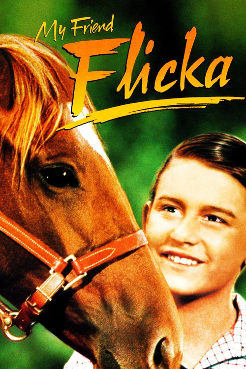 My Friend Flicka Poster