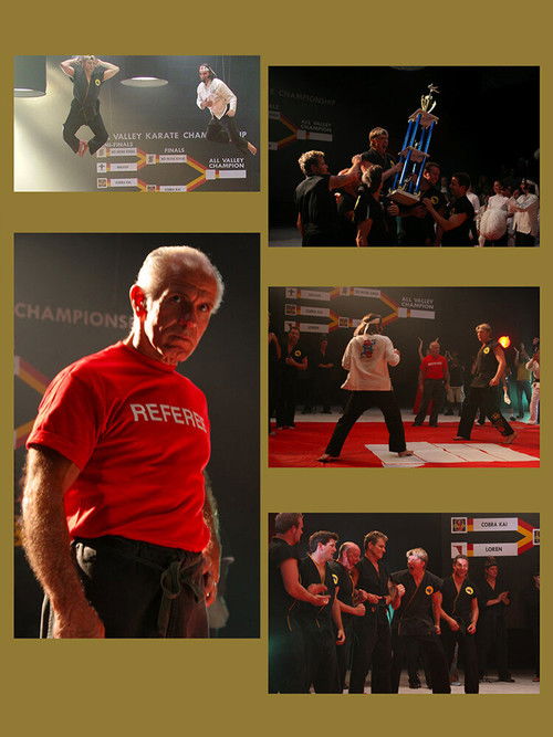 Sweep the Leg Poster