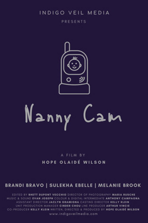Nanny Cam Poster