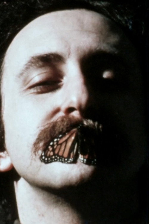 The True Light Beaver Film: After the Revolution Poster