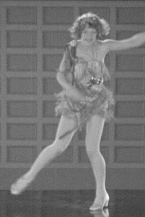 Charleston Dancing at Starlight Park Poster