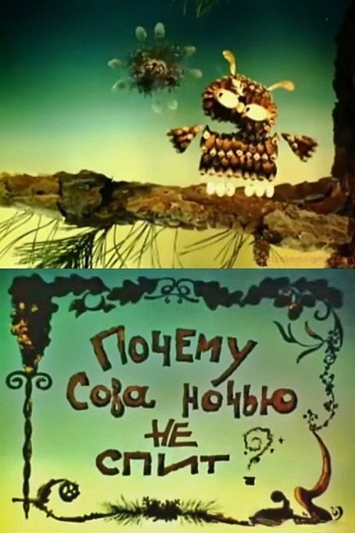 Why Doesn't The Owl Sleep At Night? Poster