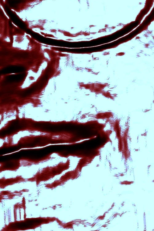 A Suicide Letter(or: A Letter to Flávia) Poster