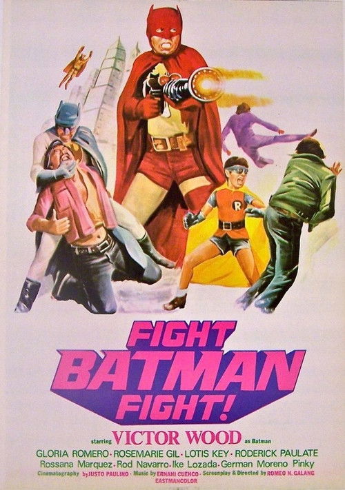 Fight Batman, Fight! Poster