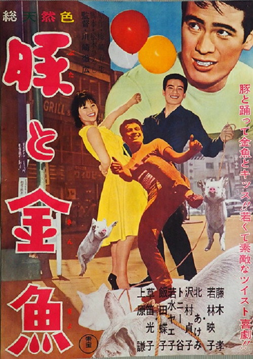 Pig and Goldfish Poster