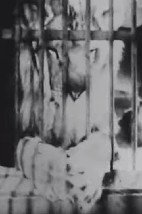 A Circus Wakes Up Poster