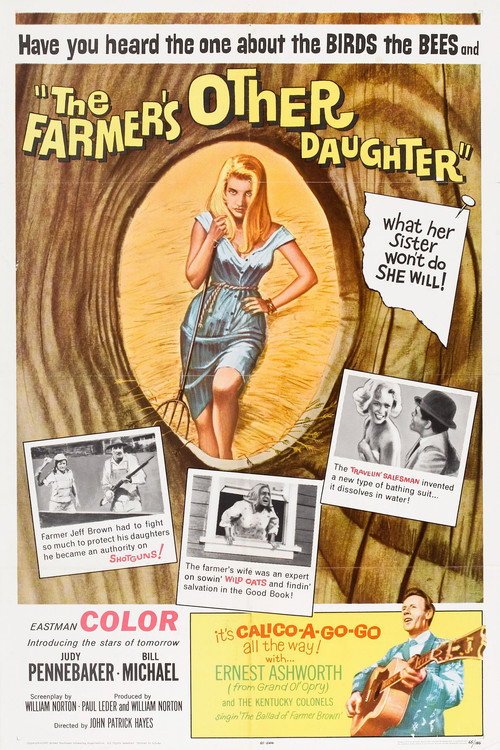 The Farmer's Other Daughter Poster