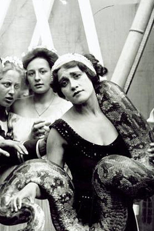 In a Den of Lions Poster