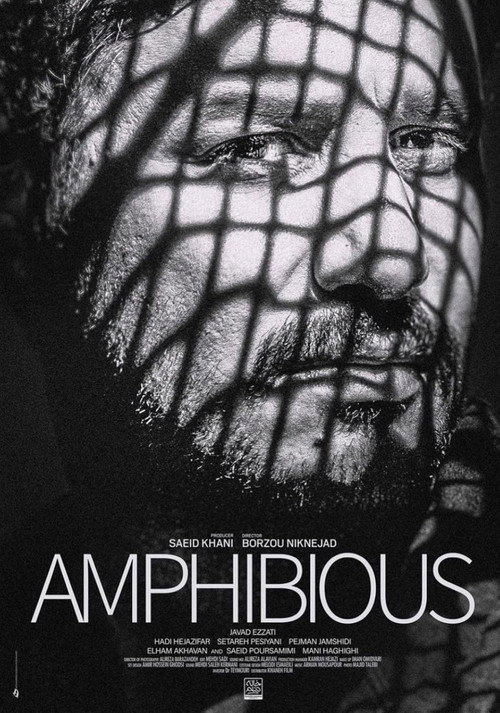 Amphibious Poster