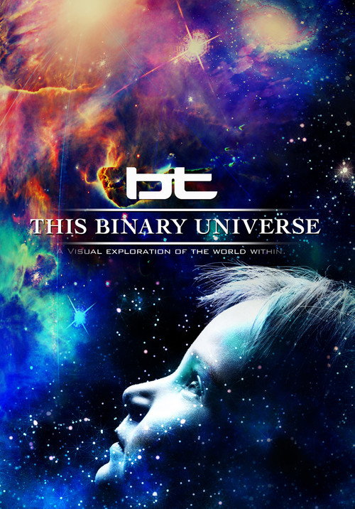 BT - This Binary Universe Poster