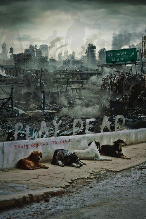 Play Dead Poster