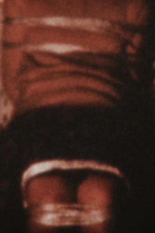 Spring Has Come Poster