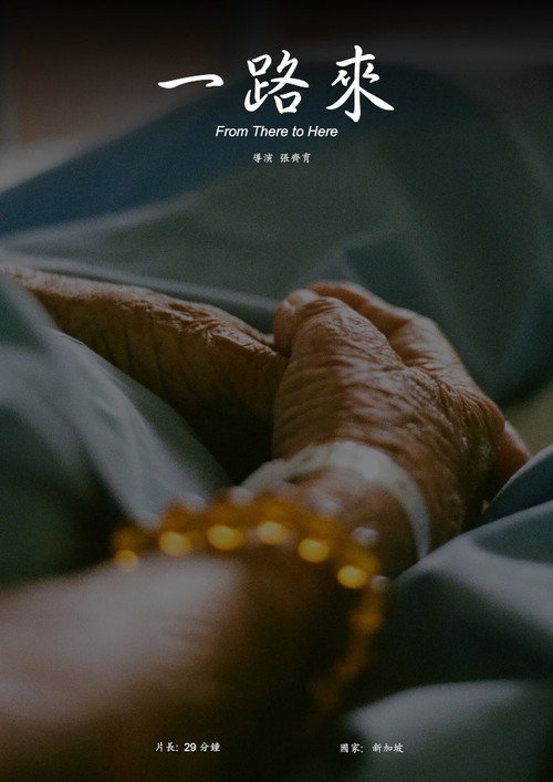 From There to Here Poster