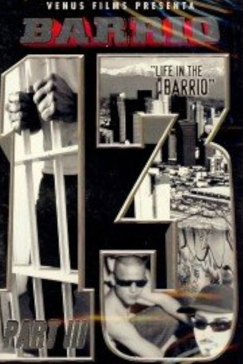 Barrio 13 Parte III Poster