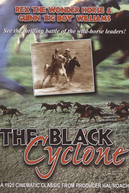 The Black Cyclone Poster