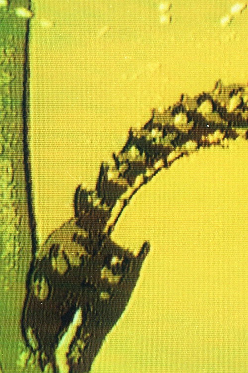 War or Peace? Poster