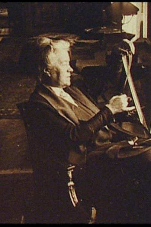 A Visit to Selma Lagerlöf's House Poster