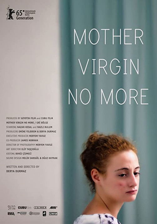 Mother Virgin No More Poster