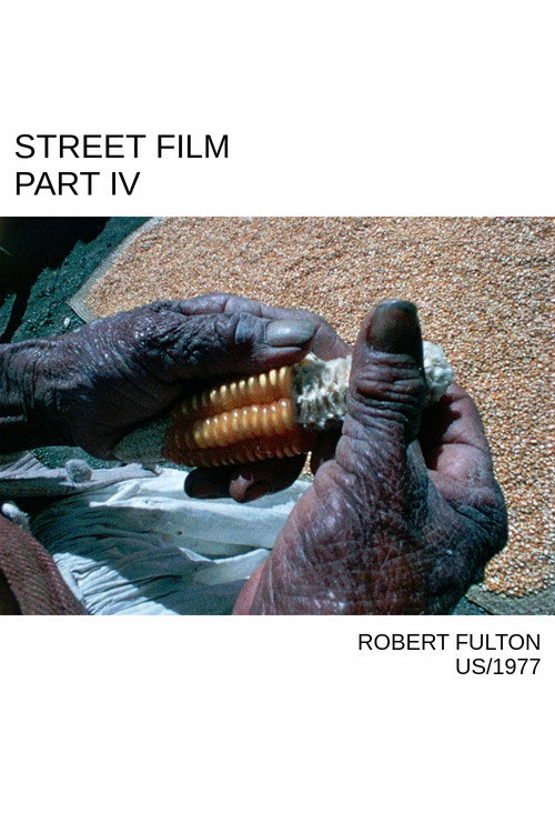 Street Film Part IV Poster