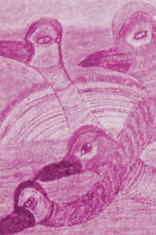 José Joaquín Barrero Poster