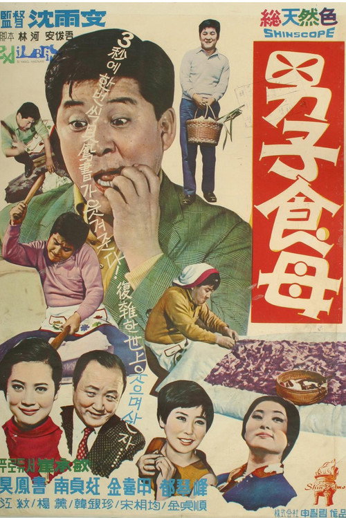 A Male Housekeeper Poster