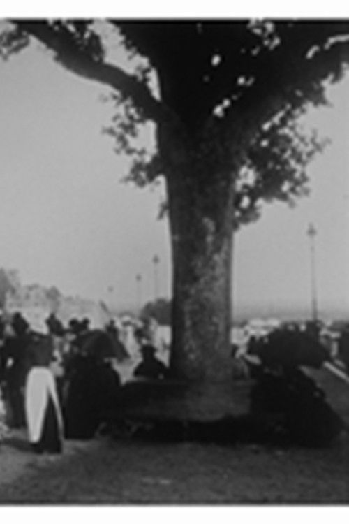 Pau : la terrasse Poster