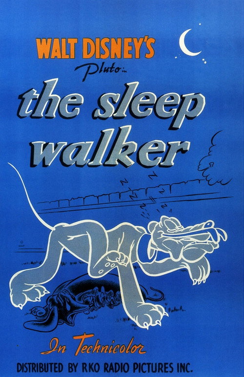 The Sleepwalker Poster