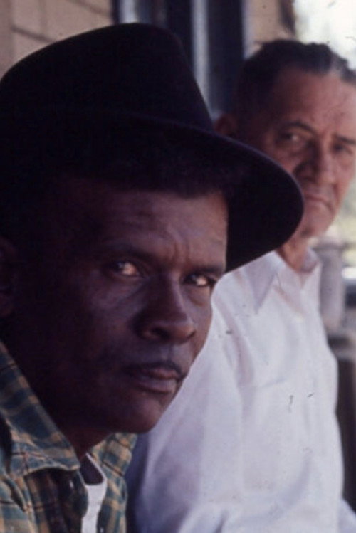 Woodcutters of the Deep South Poster