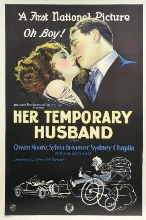 Her Temporary Husband Poster