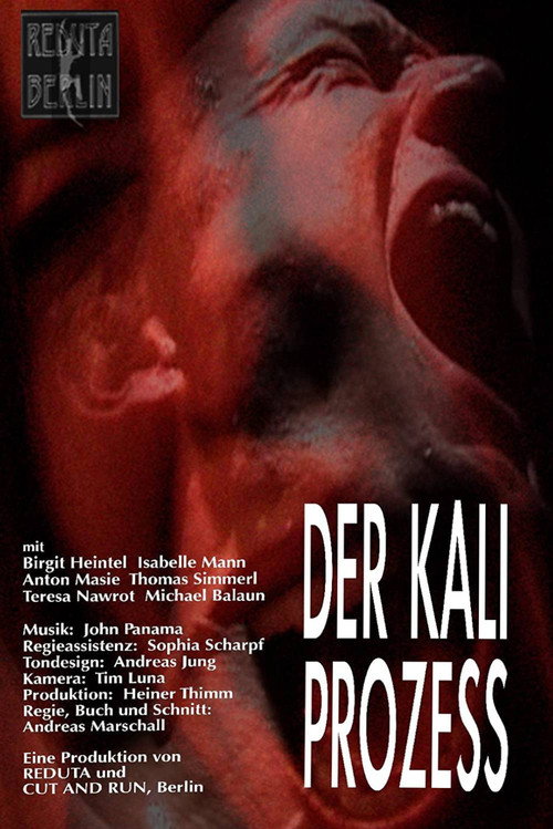 Der Kali Prozess Poster