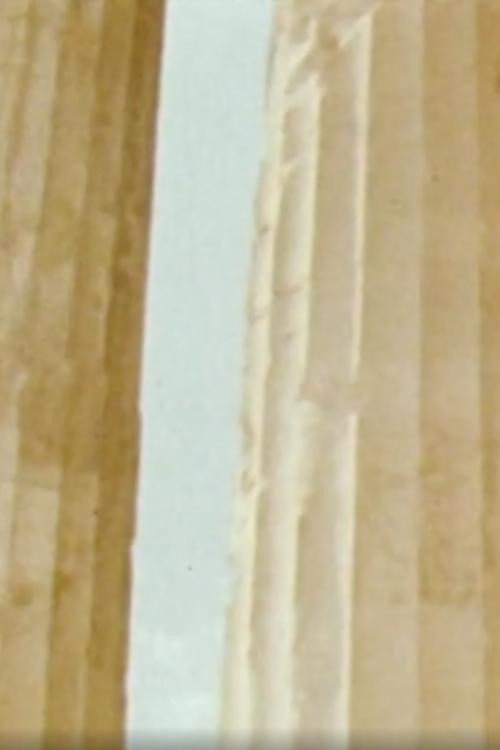 Chronique Atopique Poster